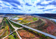 “댕댕아, 글램핑 갈까?“ 서울시, 연천에 `반려동물 테마파크` 조성